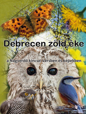 cover image of Debrecen zöld éke (The Great Forest)